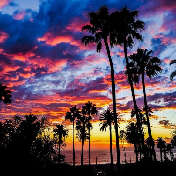 Meet your Posher, Gypsy Belle - Picture 2 of 6